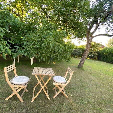Au Paradis D'Alsace 55 M2 Nature & Relax Ingwiller Buitenkant foto