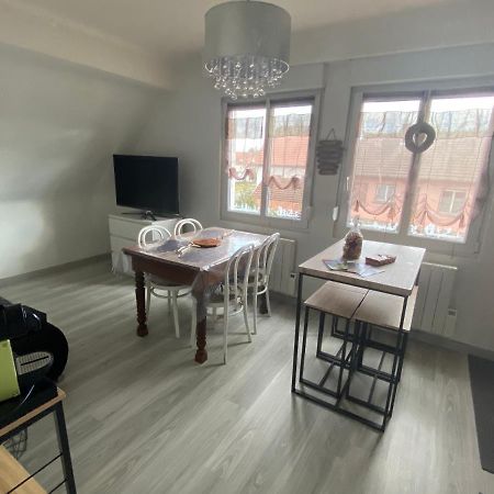 Au Paradis D'Alsace 55 M2 Nature & Relax Ingwiller Buitenkant foto
