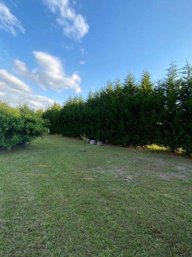 Au Paradis D'Alsace 55 M2 Nature & Relax Ingwiller Buitenkant foto