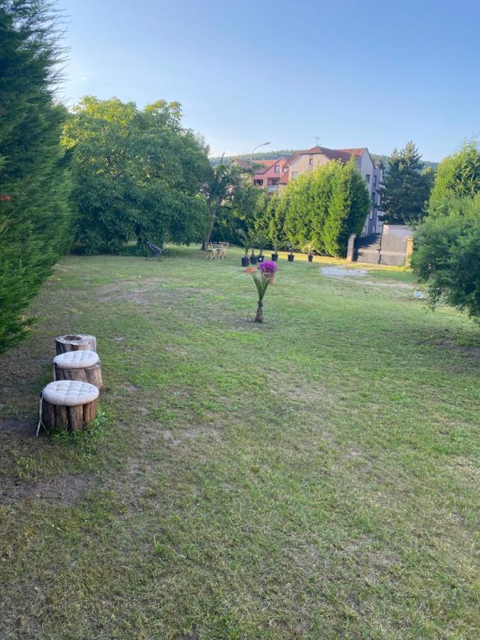 Au Paradis D'Alsace 55 M2 Nature & Relax Ingwiller Buitenkant foto