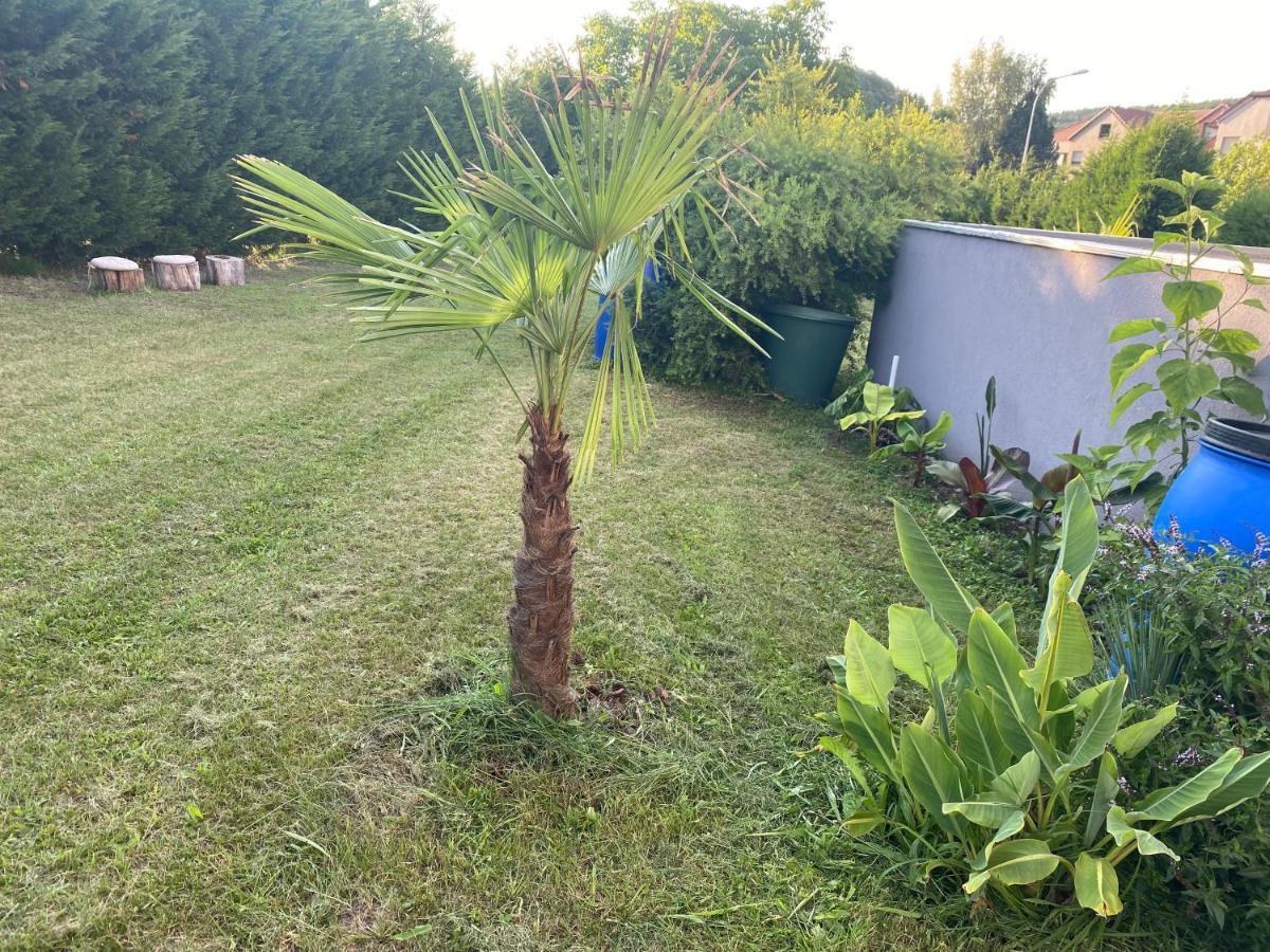 Au Paradis D'Alsace 55 M2 Nature & Relax Ingwiller Buitenkant foto