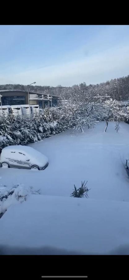 Au Paradis D'Alsace 55 M2 Nature & Relax Ingwiller Buitenkant foto