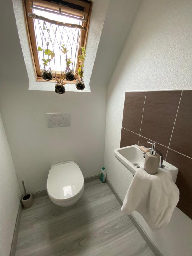 Au Paradis D'Alsace 55 M2 Nature & Relax Ingwiller Buitenkant foto