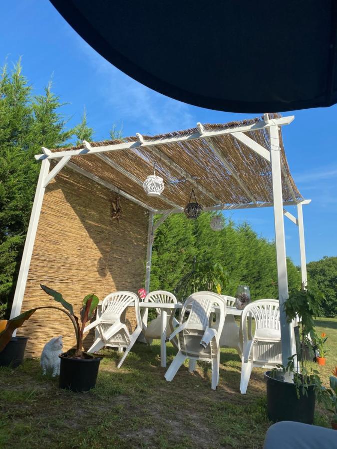 Au Paradis D'Alsace 55 M2 Nature & Relax Ingwiller Buitenkant foto