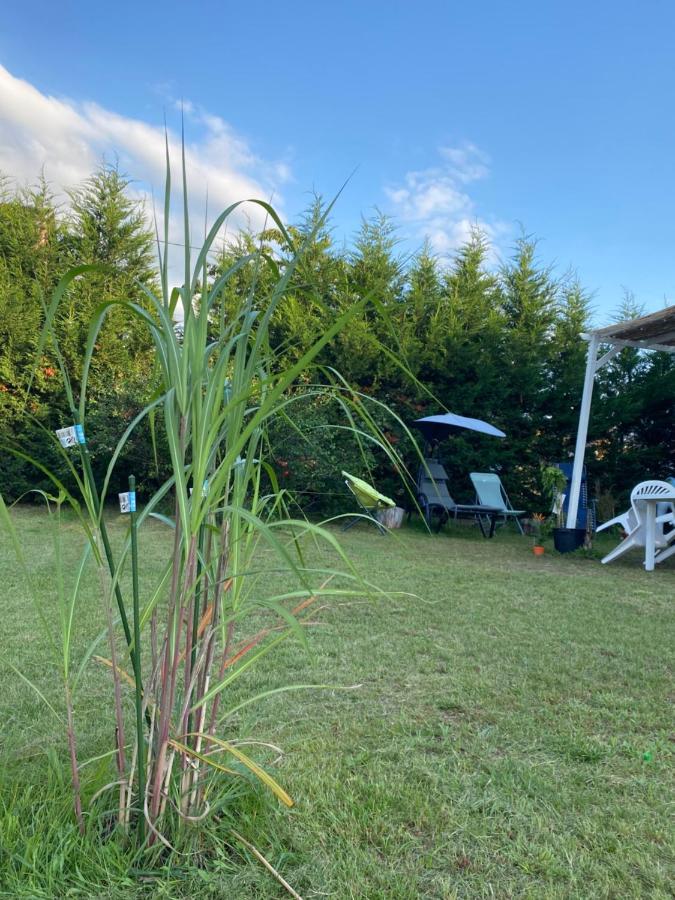 Au Paradis D'Alsace 55 M2 Nature & Relax Ingwiller Buitenkant foto